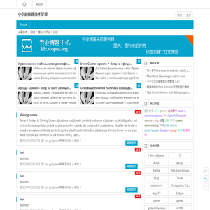 小小的数据技术梦想